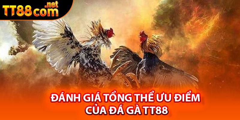 Đánh giá tổng thể ưu điểm của đá gà TT88